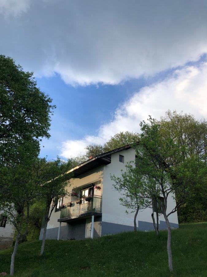Etno Kuca Milidrag Villa Foca Dış mekan fotoğraf