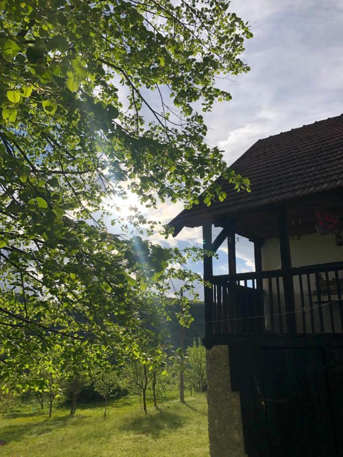 Etno Kuca Milidrag Villa Foca Dış mekan fotoğraf