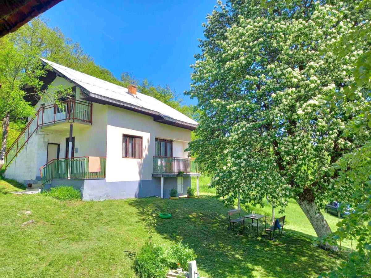 Etno Kuca Milidrag Villa Foca Dış mekan fotoğraf
